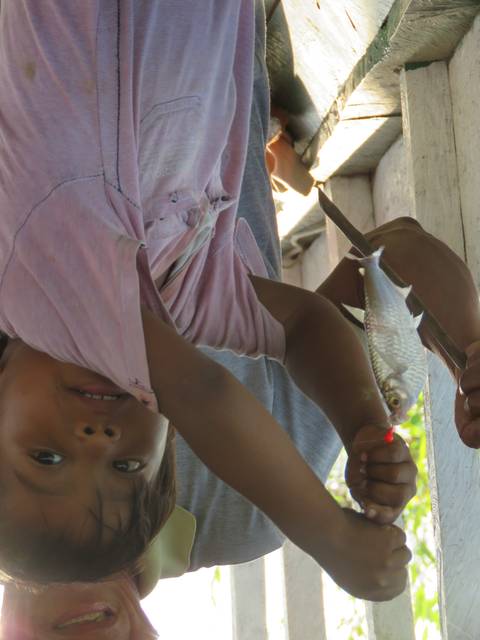 Child holding a fish with an adult's help.