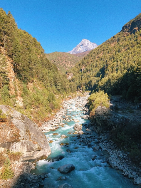 Rolling stream with crystal clear water running through a forest.