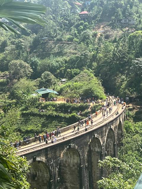 A group of tourists walking along an arched railway bridge in a lush forest.