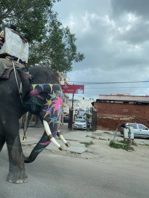 Decorated elephant on a city street.