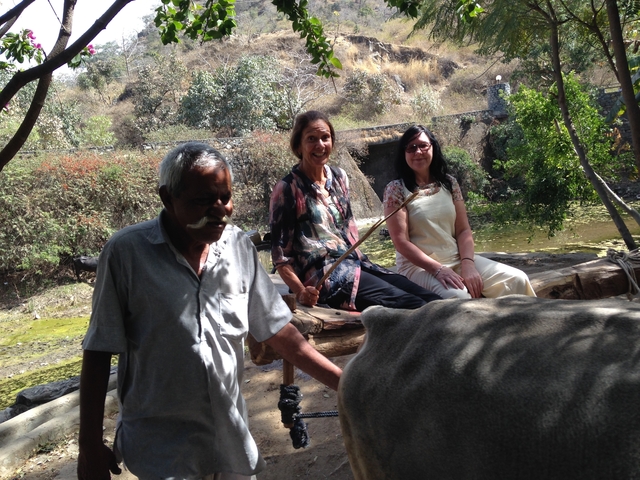 Three people interacting with animals in an outdoor setting.