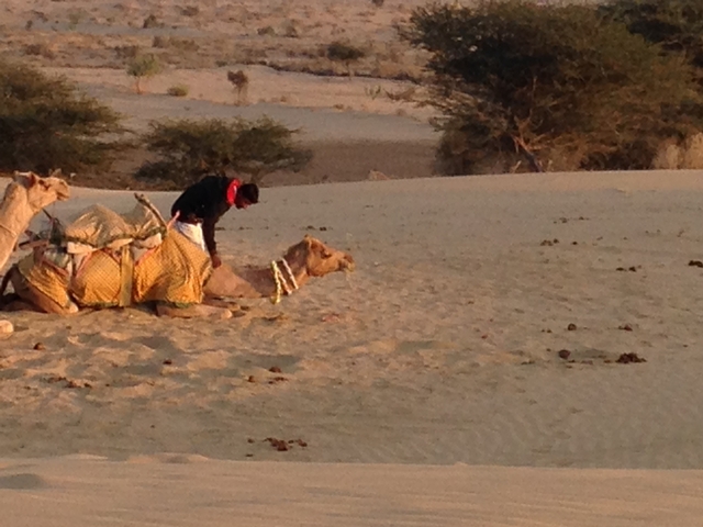 A man with camels resting on the sand in a desert.
