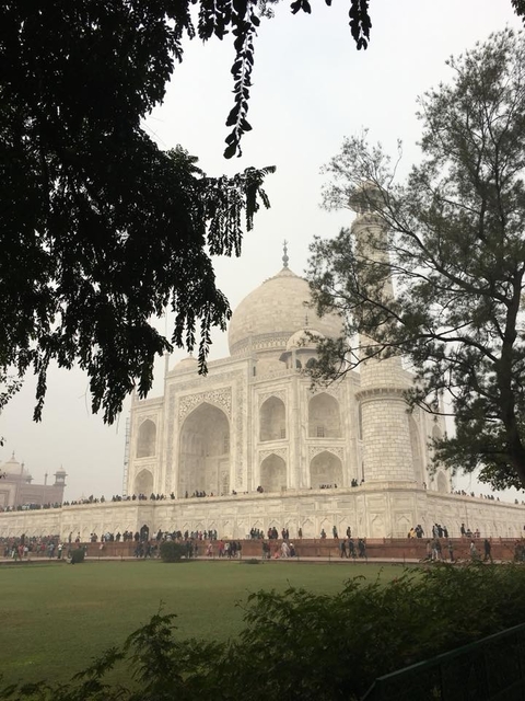 foto de reseña de cliente de Circuito de 5 Días por el Triángulo de Oro - Circuito Delhi Agra Jaipur (Salida/Puesta del Sol del Taj Mahal)