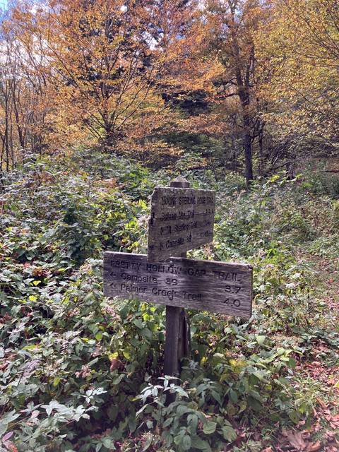 Upside-down image of a wooden trail sign in a forest.