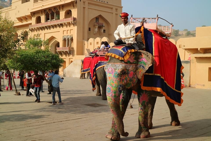 Photo d'avis client sur 5 jours (Delhi-Agra-Jaipur) Circuit du Triangle d'Or en voiture privée depuis New Delhi