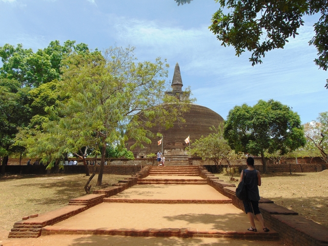 Ancient stupa surrounded by trees.