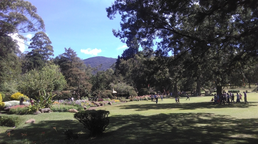 A group of people in a well-maintained garden park.