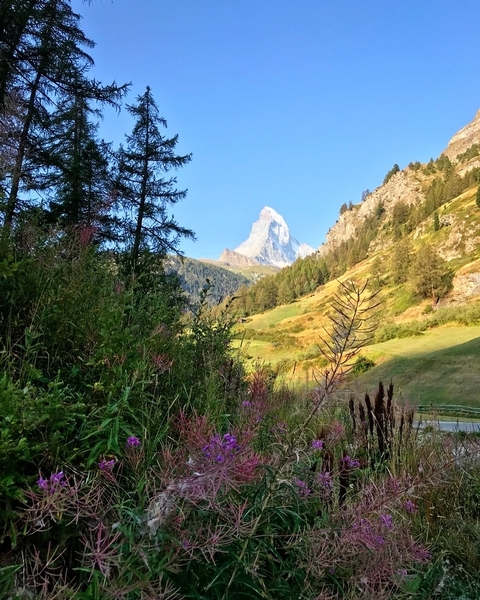 Photo d'avis client sur La Suisse glorieuse - Avant-première 2022 (16 jours)