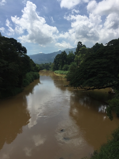 River flowing through a lush green landscape.