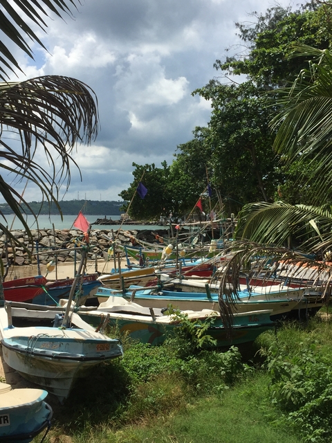 Colorful fishing boats docked by a rocky shoreline with lush greenery.