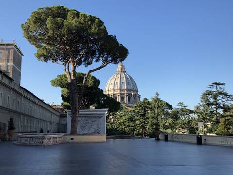 View of St. Peter's Basilica with trees and a clear blue sky.
