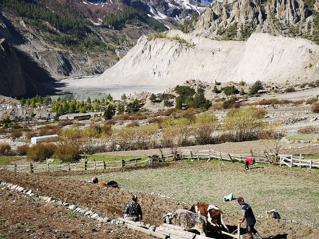 Fields and lake in a mountainous valley with people working