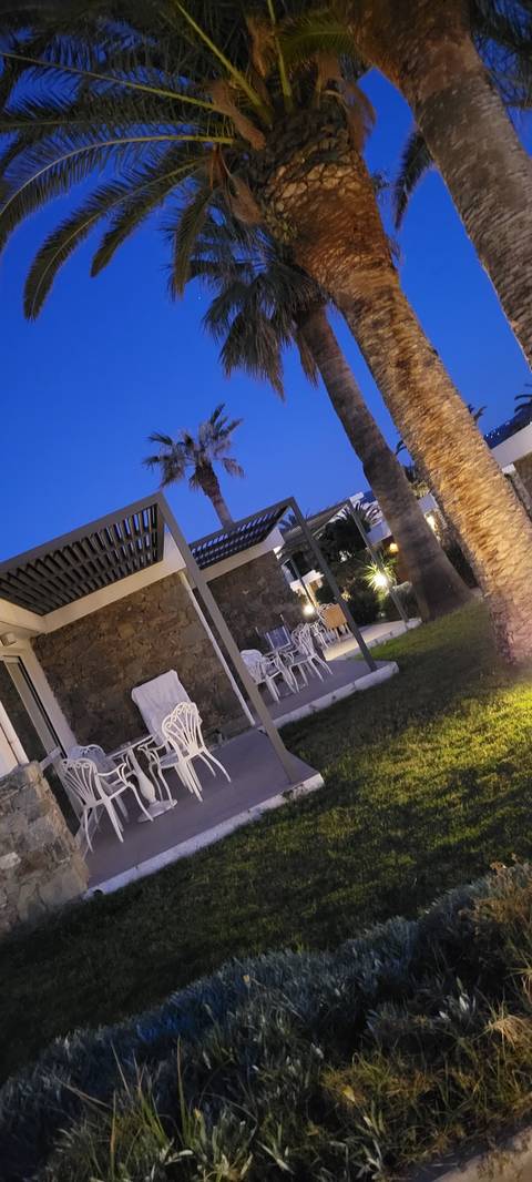 Resort area with palm trees and chairs at night.