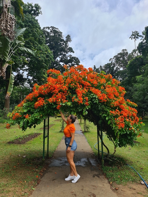 Woman reaching up to colorful flowers.