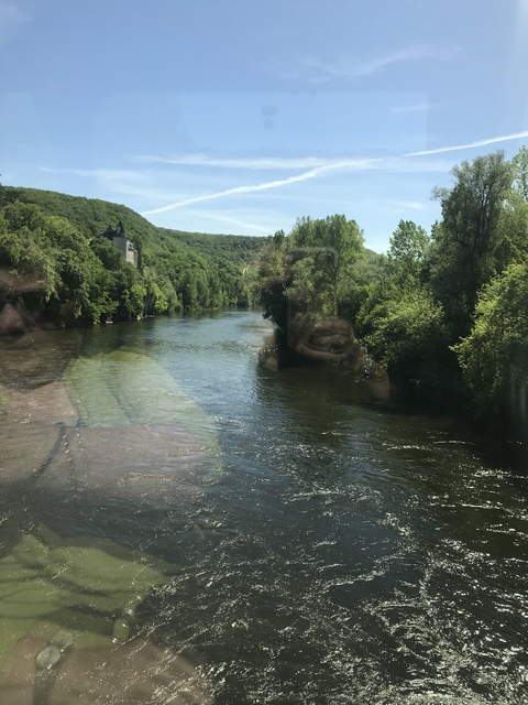 River view with greenery and a distant building.