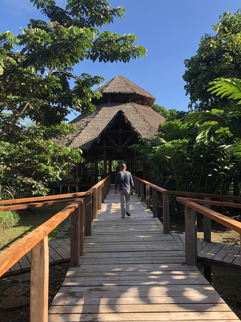 Person walking over a wooden bridge towards a thatched structure.
