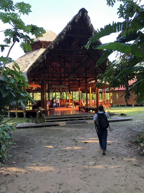 Man walking towards an open wooden pavilion in a lush forest area.