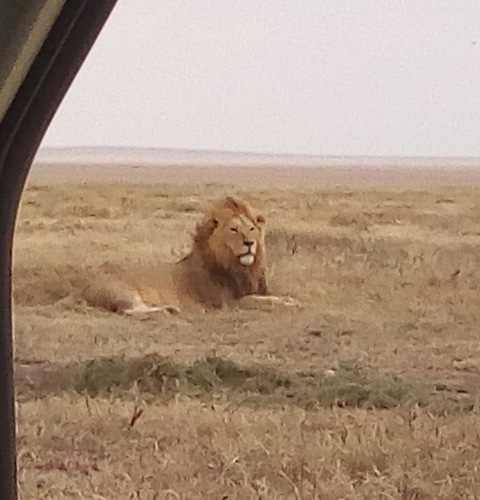 5 Days Big 5 Safari customer review photo