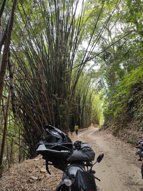 Upside down image of a motorbike in a forest path.
