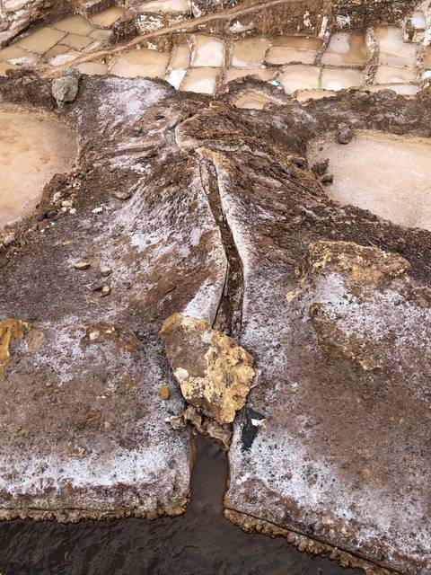A close-up of a rocky surface with mineral deposits.