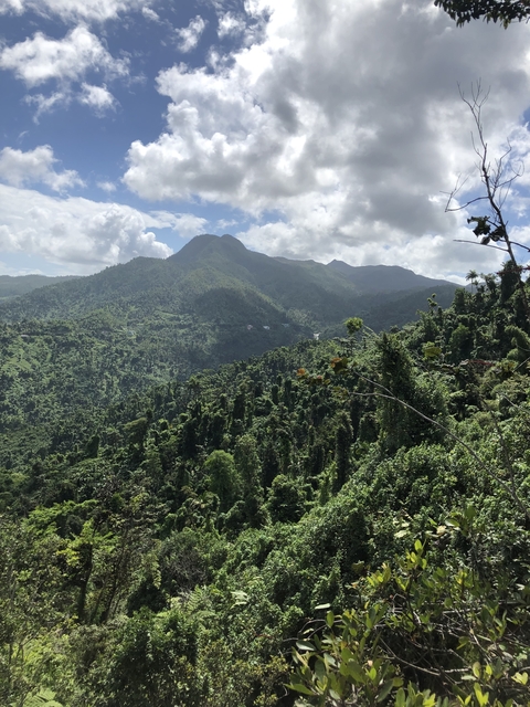 Mountainous landscape with lush forests.