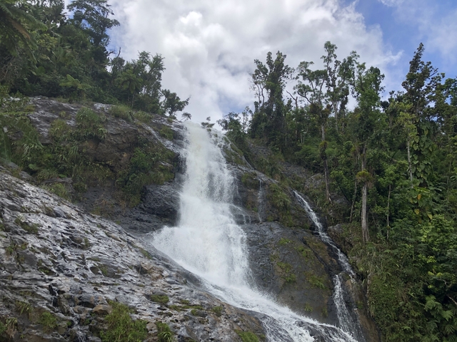 Tall waterfall surrounded by greenery.