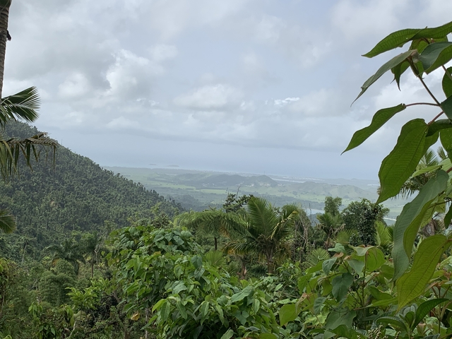 View of lush green hills and distant ocean.