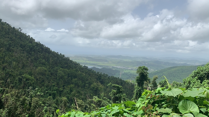 Scenic view of forested hills and sky.