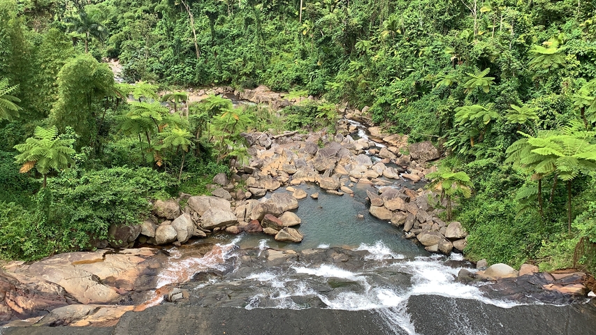 River with rocks and lush vegetation.