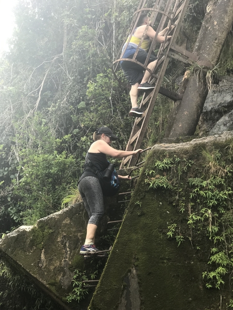 Hiker climbing a metal ladder on a slope.