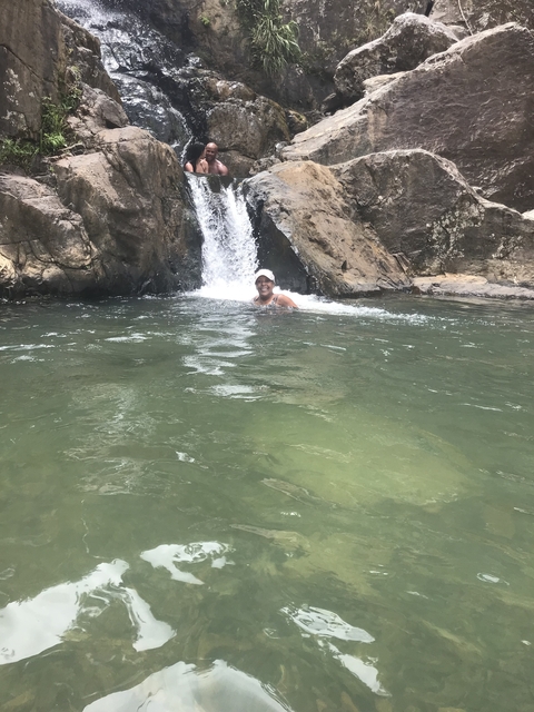 Person swimming in a pool beneath a waterfall.