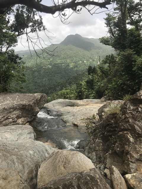 A rocky terrain with a stream running through and greenery in the background.