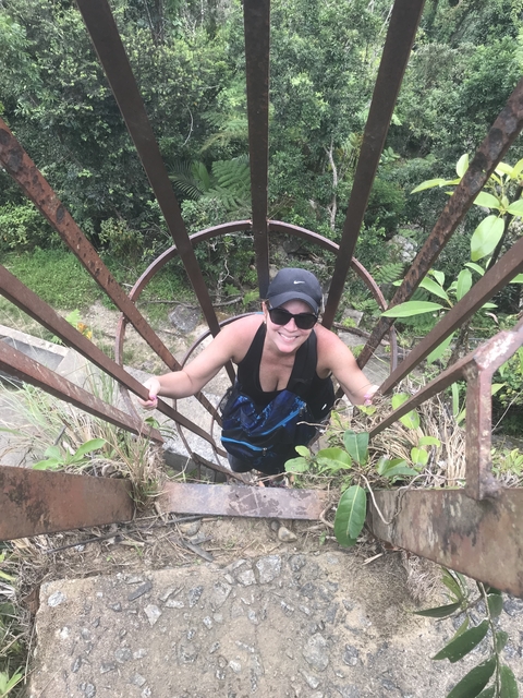 A person climbing up a metal ladder surrounded by lush vegetation.