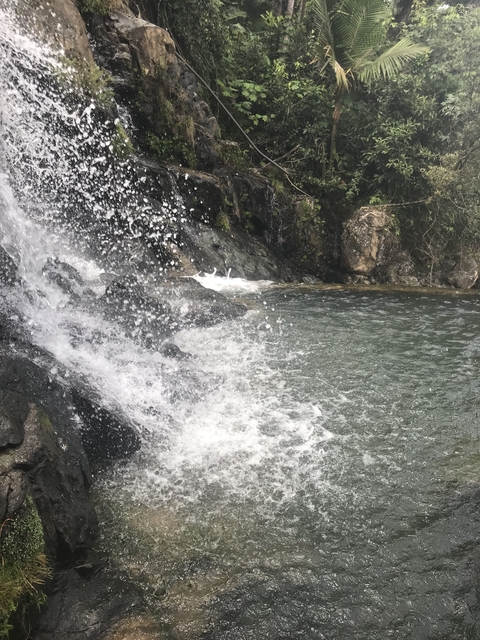 A waterfall cascading over rocks into a pool surrounded by trees.