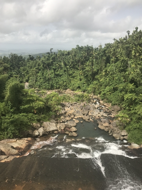 River with rocky bed and forest background.