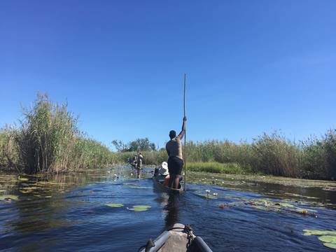People in a dugout canoe being guided through scenic wetlands.