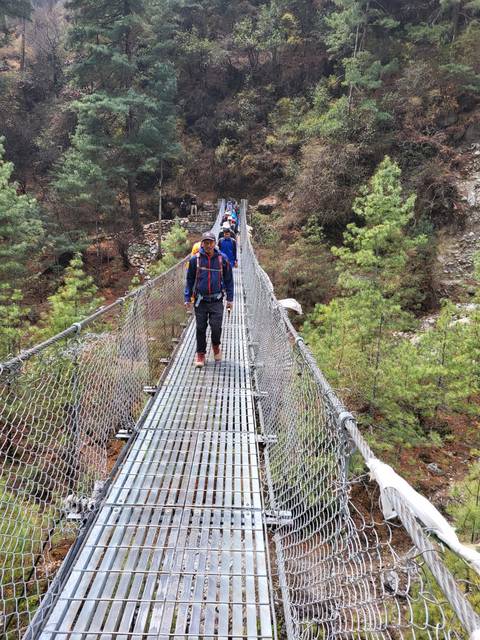 People walking on a suspension bridge through a forest.