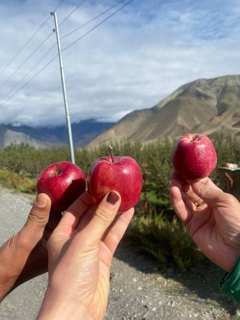 Hands holding red apples against a mountainous background.