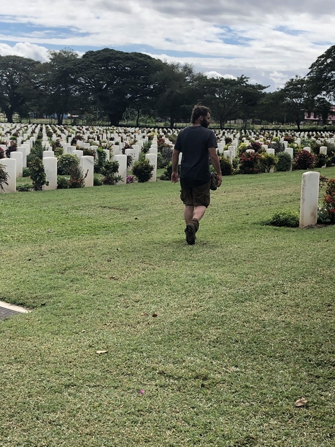 A person walking through a war cemetery.