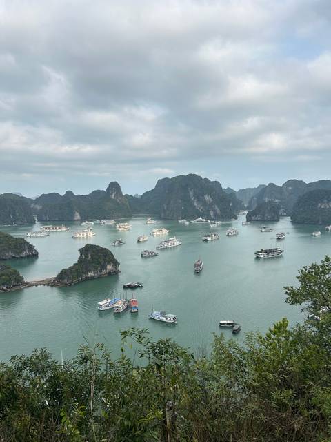 Many boats on a turquoise bay surrounded by lush cliffs.