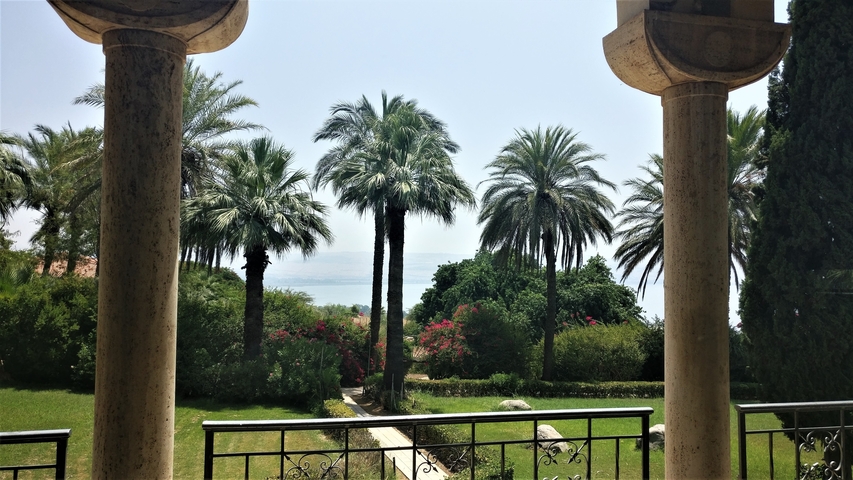 Garden with palm trees overlooking the sea