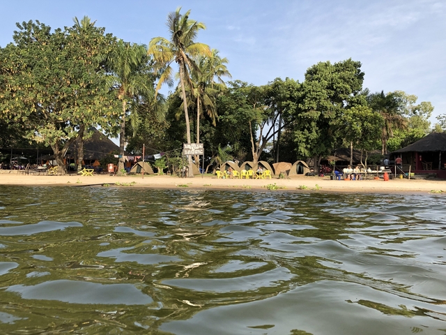 Tents and trees along a beachfront seen from the water.