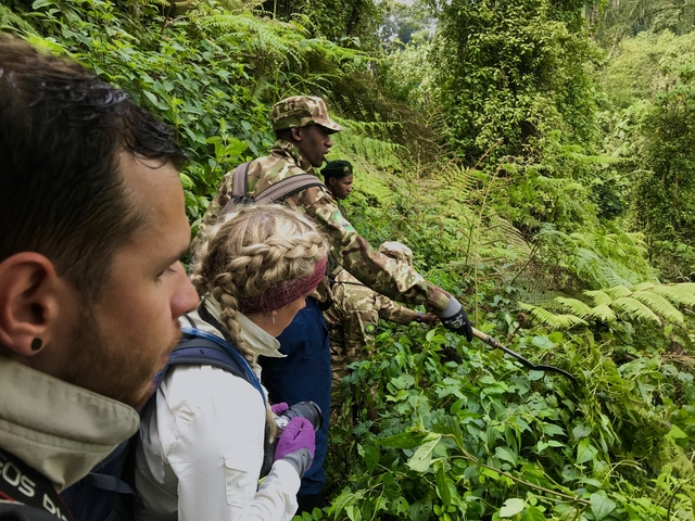 A group of hikers in the wilderness with a guide.