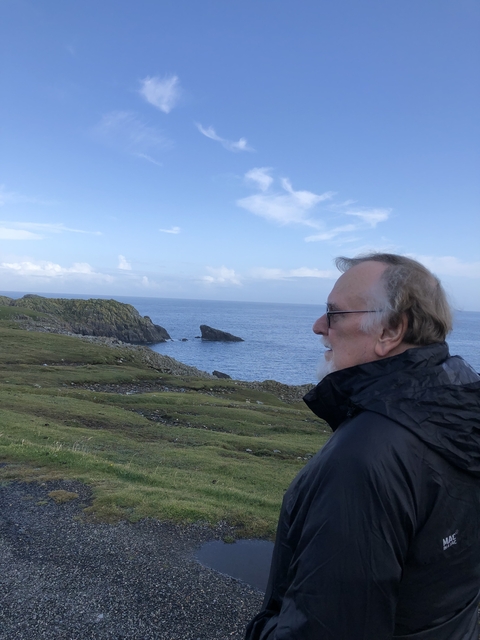 Person looking at coastal cliffs and sea.