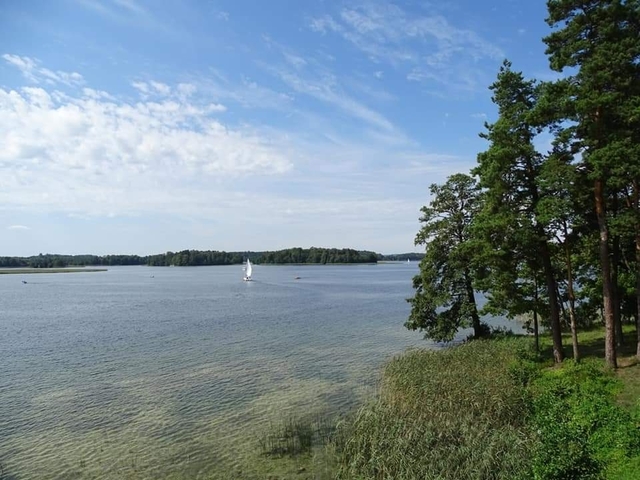 Photo d'avis client sur Grand tour des Baltes à vélo (entièrement guidé de Vilnius à Tallinn 2026)