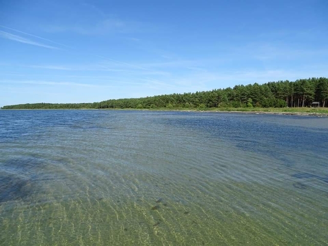 Photo d'avis client sur Grand tour des Baltes à vélo (entièrement guidé de Vilnius à Tallinn 2026)