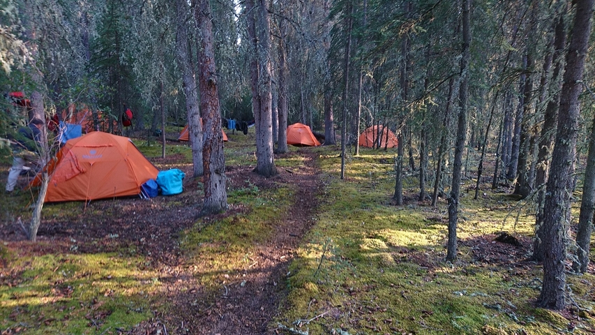 Campsite with orange tents in a forest.