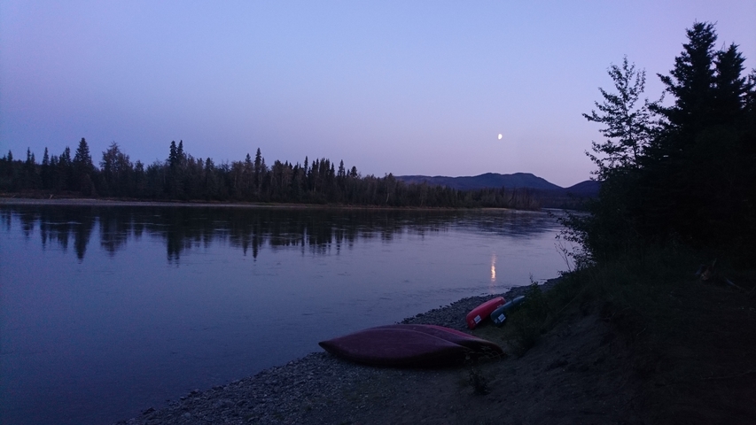 River bank at dusk with leaning canoes and trees.