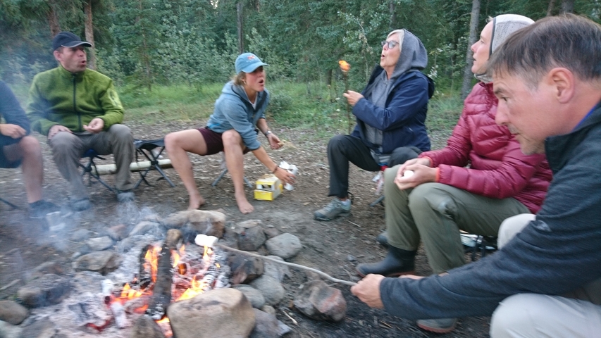 Campfire scene with people roasting marshmallows.