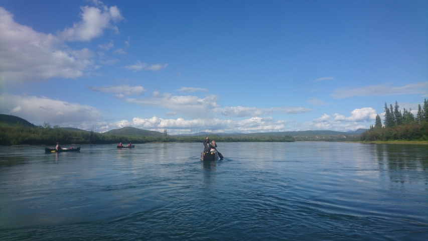 Canoeing on a tranquil river with other adventurers.